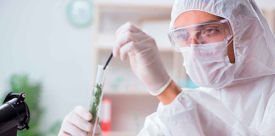 STENOCARE prescription based medical cannabis